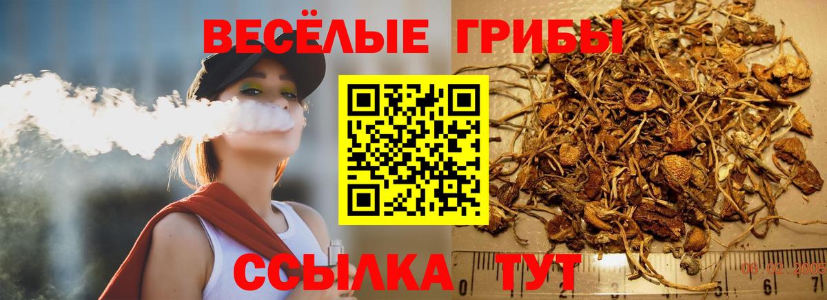 Псилоцибиновые грибы прущие грибы  Псилоцибиновые грибы Psilocybine cubensis  Вход с VPN  Искитим 